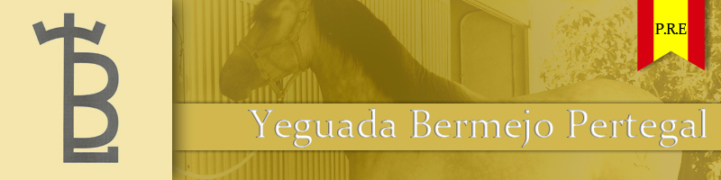 Yeguada Bermejo Pertegal